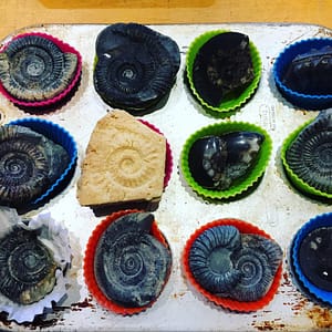 A baking tray with ammonite fossils in cupcake cases and a single ammonite made out of shortbread
